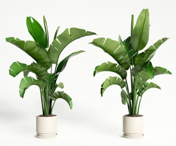 Modern Ground Green Plant Potted Plants-ID:849163068