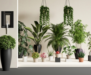 Modern Ground Green Plant Potted Plants-ID:336010936