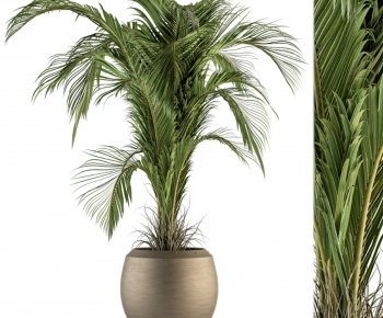 Modern Potted Green Plant-ID:450520517