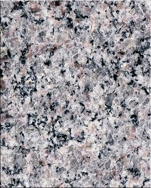 ModernTerrazzo