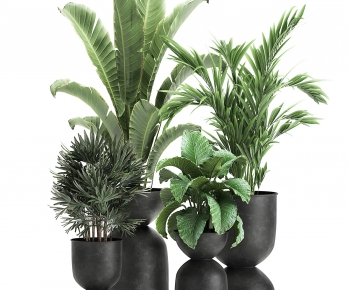 Modern Potted Green Plant-ID:975475071