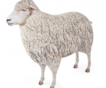 现代羊-ID:803584103