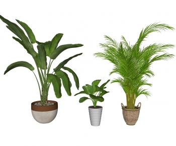 Modern Ground Green Plant Potted Plants-ID:266683105