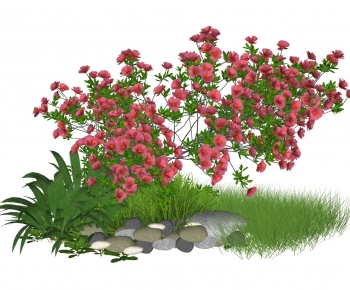 现代月季花植物花卉-ID:135149005
