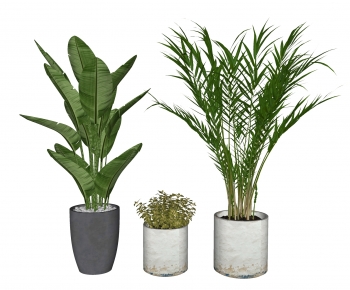 Modern Ground Green Plant Potted Plants-ID:875152112
