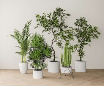 Modern Ground Green Plant Potted Plants-ID:828609943