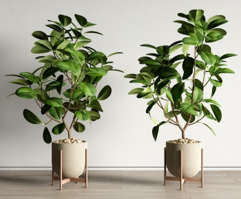 Modern Ground Green Plant Potted Plants-ID:168215993