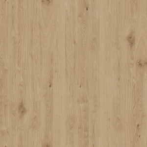 ModernWood Texture