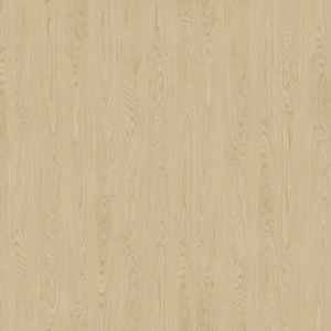 ModernWood Texture