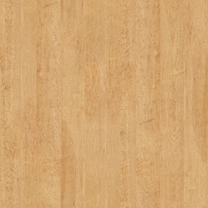 ModernWood Texture