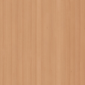 ModernWood Texture