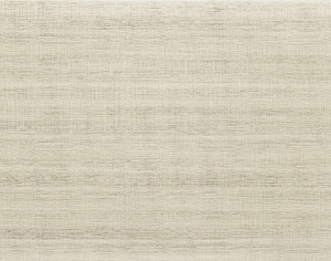 ModernWood Texture