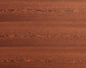 ModernWood Texture