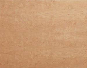 ModernWood Texture