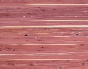 ModernWood Texture