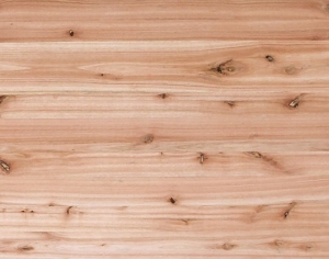 ModernWood Texture