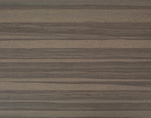 ModernWood Texture