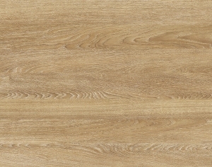 ModernWood Texture