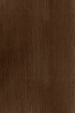 ModernWood Texture