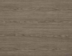 ModernWood Texture