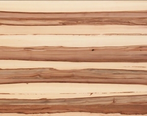 ModernWood Texture