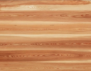 ModernWood Texture