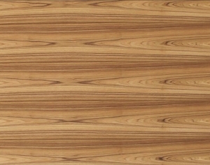 ModernWood Texture