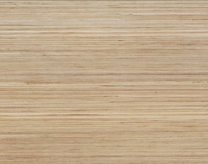 ModernWood Texture