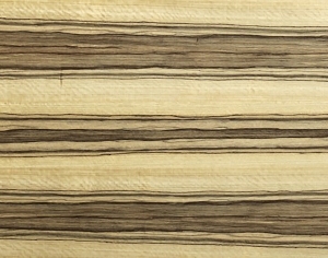 ModernWood Texture