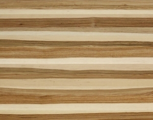 ModernWood Texture