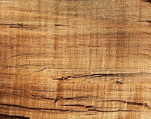 ModernWood Texture