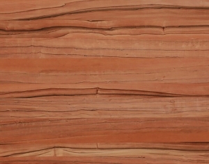 ModernWood Texture