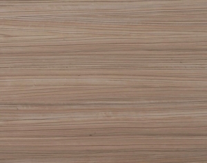 ModernWood Texture