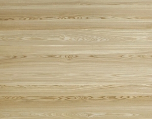 ModernWood Texture