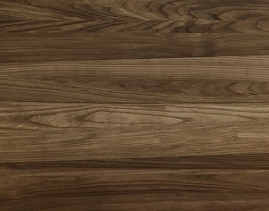 ModernWood Texture