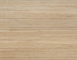 ModernWood Texture