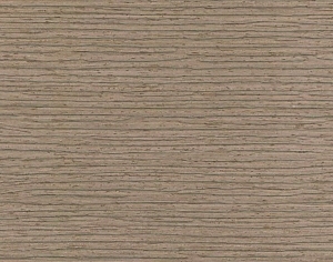 ModernWood Texture