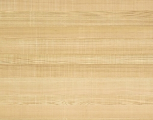 ModernWood Texture