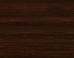 ModernWood Texture