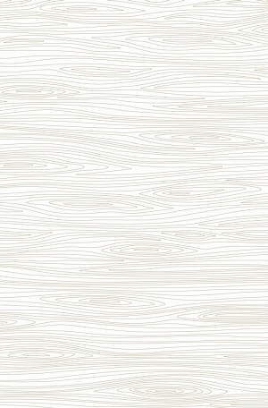 ModernWood Texture