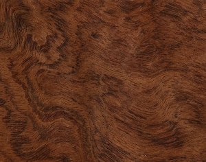 ModernWood Texture