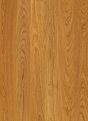 ModernWood Texture