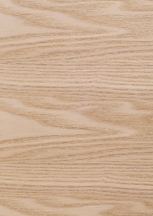 ModernWood Texture