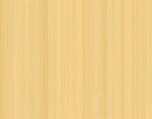 ModernWood Texture