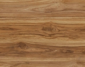 ModernWood Texture