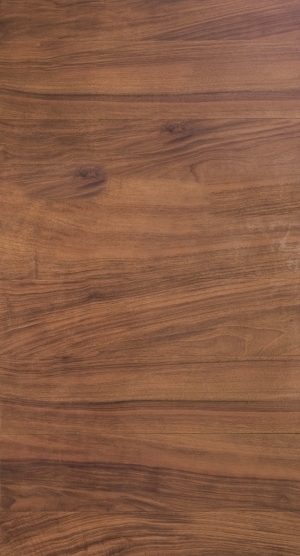 ModernWood Texture