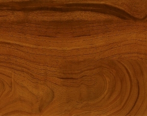 ModernWood Texture