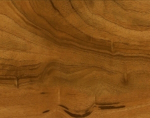 ModernWood Texture