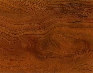 ModernWood Texture