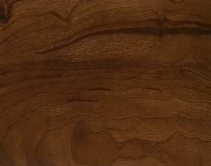 ModernWood Texture